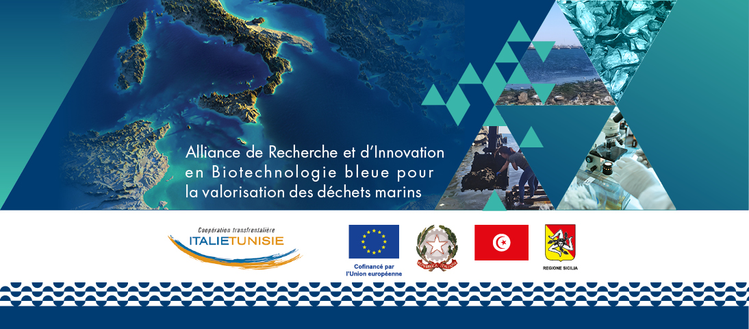 Projet ARIBiotech